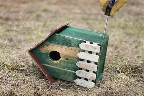 bird house safety